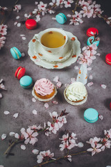 Cherry blossom(sakura) japanese Herb tea.The magic of tea, decorated with sakura flowers and sweets, spring mood, summer