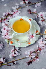 Cherry blossom(sakura) japanese Herb tea.The magic of tea, decorated with sakura flowers and sweets, spring mood, summer