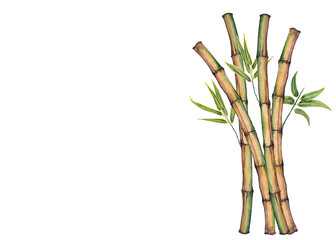 Bamboo stems. Vertical composition.