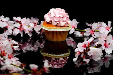 Pink cupcake with sakura flower on black backgroound