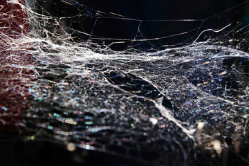 Cobweb texture background