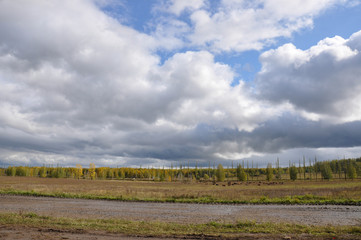 Big autumn field with trees cows far away and clouds in the blue sky. Travelling across