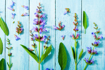 sage herbal plant parts on turquoise wood table background