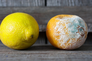Fresh and rotten lemon. fruit with mold on wooden background 