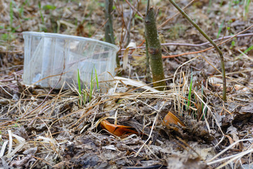 Obraz premium Nature pollution plastic, garbage. Plastic mushrooms. Ecological problems.