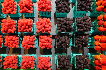 Containers of fresh berries at the farmers market