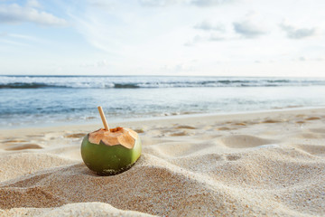 Young coconut on the beach. Summer background