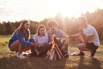 Friends in meadow lit bonfire and fry marshmallows, unset time, sunny summer day, group of youngsters spend leisure rime enjoying nature, comunicating with each others. People and friendship concept.