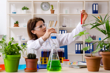 Old female biotechnology chemist working in the lab 