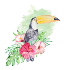 watercolor toucan with flowers on a green background