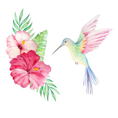 watercolor hummingbird and flowers