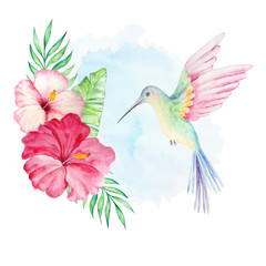 watercolor hummingbird with flowers and background