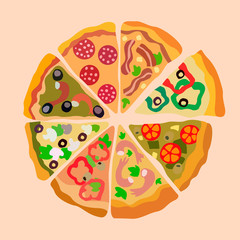 Assorti Pizza Slices Color Vector Illustration