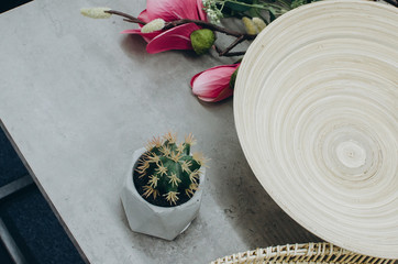 Top view of cactus at home