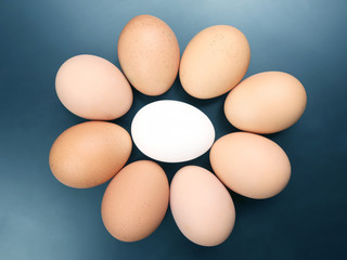 different chicken eggs lie on dark background