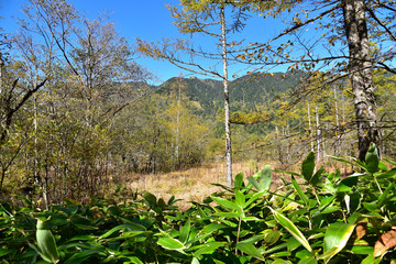 上高地　秋の田代湿原