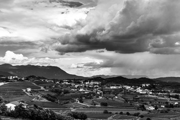 Stormy day in the vineyards of Brda, Slovenia
