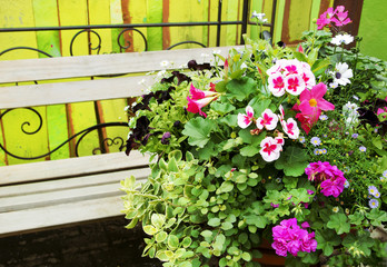Balcony flowers on garden bench, copy space