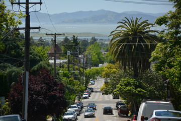 Spring Impressions from Berkeley near San Francisco and Oakland in Alameda County on May 3, 2017, California USA