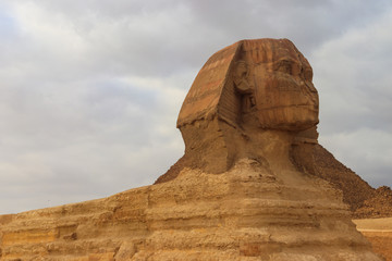 Fototapeta na wymiar Close-up of Great Sphinx of Giza in Cairo, Egypt