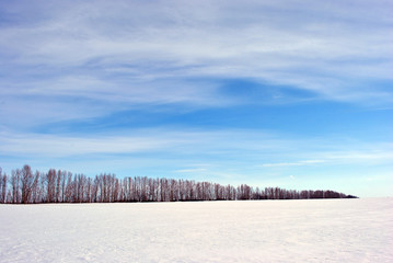 Meadow covered with snow, trees line without leaves, blue cloudy sky background