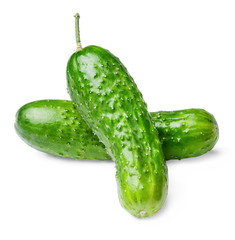 Two short cucumbers with pimples isolated on white. Design element for print or web. Close-up. Side view.