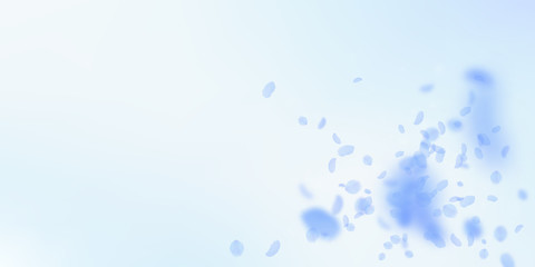 Dark blue flower petals falling down. Powerful rom