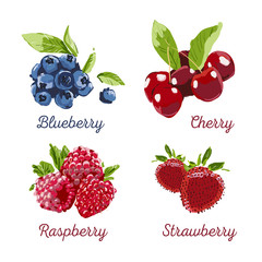 Berry Hand drawn set. Berry colorful marker illustration. Raspberry, strawberry, cherry, blueberry on white background with calligraphic text. Dessert Healthy farm natural product.