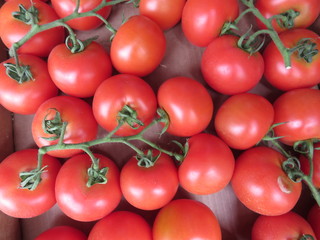 Delicious tomatoes with a good looks and incredible color