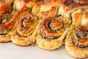 Poppy seed cake from yeast dough.