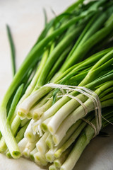 green onions close up