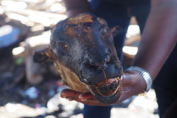 Sheep head cooked on coals in South Africa - called a