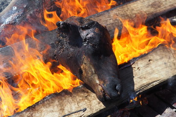 Sheep head cooked on coals in South Africa - called a