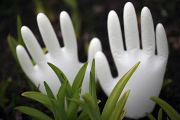 White silicon gloves garden nobody 