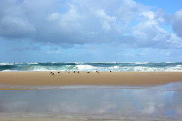 France, Aquitaine, plage côte atlantique. La marée montante va peu à peu recouvrir le banc de sable en formant un courant dans la dépression au premier plan.