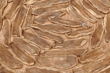 dry salty slice cabbage Chinese food preservation on bamboo basket