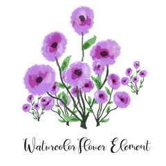 Violet flower watercolor. Floral watercolor element with beautiful gradation. Floral plant watercolor illustration