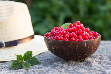 Prunus tomentosa or nanking cherry harvest in a cocnut bowl on a stone outdoors in summer. Countryside vacation concept