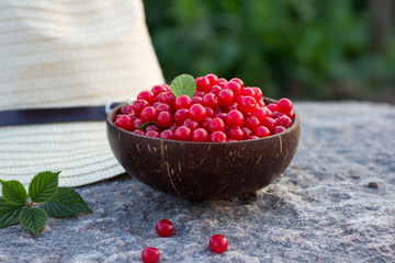 Prunus tomentosa or nanking cherry harvest in a cocnut bowl on a stone outdoors in summer. Countryside vacation concept