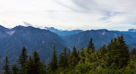 Hochalpenpanorama und Wald vom Rauschberg