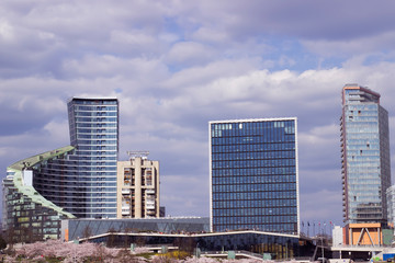 Fototapeta na wymiar Panorama of the city Vilnius Lithuania. Skyscraper image with blooming sakura