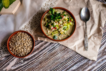 asty traditional Russian cold soup Оkroshka in healthy vegan version