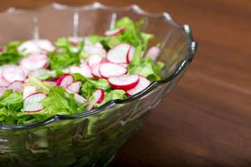 Spring light salad of radish and lettuce