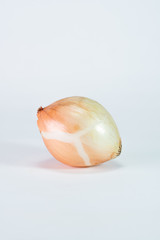 onion isolated on white background