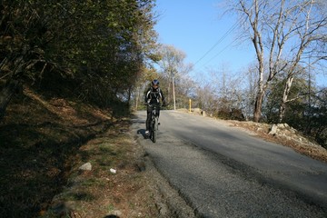 Fototapeta premium A young woman riding a bike on an asphalt road in the woods.