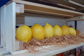 Row of big yellow organic lemons in a wooden shelf