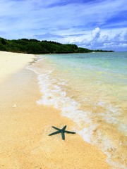 プライベートビーチ