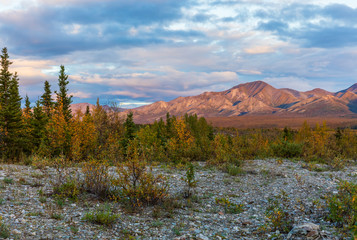 Fototapeta premium Scenic Denali National Park Alaska Landscape