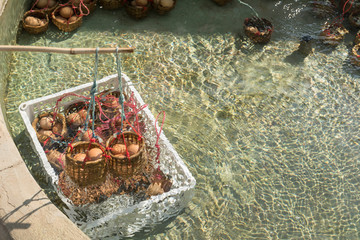 Boiling eggs in hot springs in Lampang, Thailand