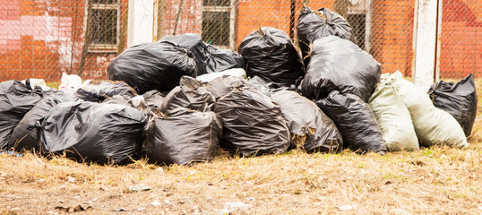 bags of last year's leaves after harvest. Spring in the city